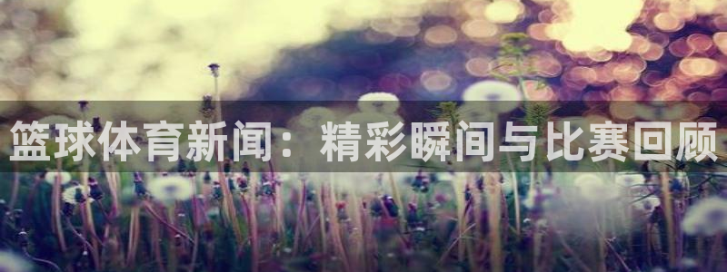 篮球体育新闻：精彩瞬间与比赛回顾