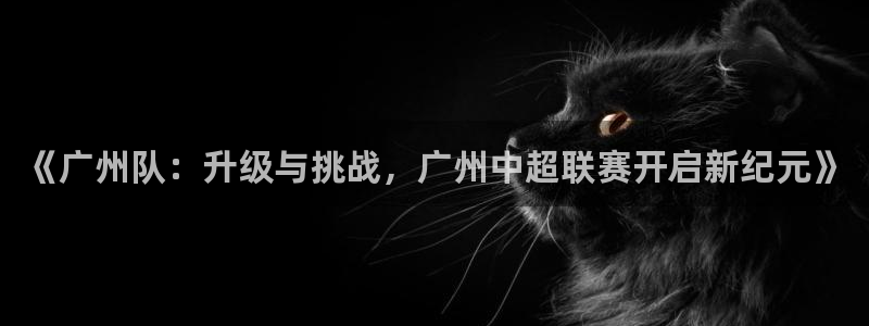 《广州队：升级与挑战，广州中超联赛开启新纪元》