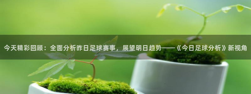 今天精彩回顾：全面分析昨日足球赛事，展望明日趋势——《今日足球分析》新视角