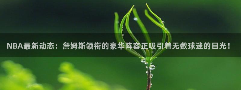 NBA最新动态：詹姆斯领衔的豪华阵容正吸引着无数球迷的目光！