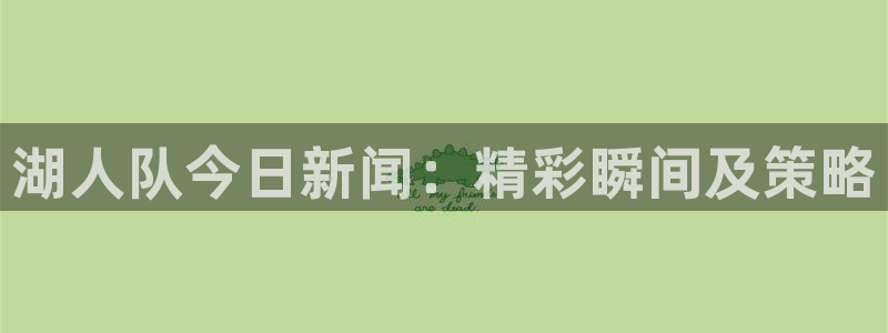 湖人队今日新闻：精彩瞬间及策略