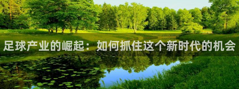 足球产业的崛起：如何抓住这个新时代的机会