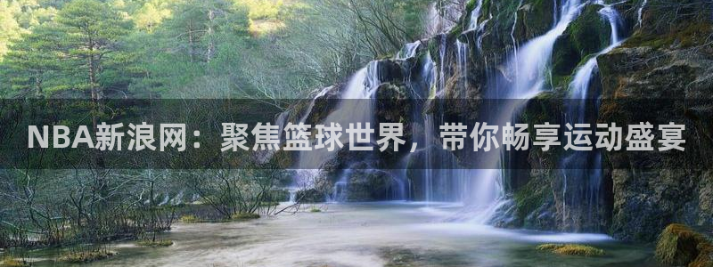 NBA新浪网：聚焦篮球世界，带你畅享运动盛宴