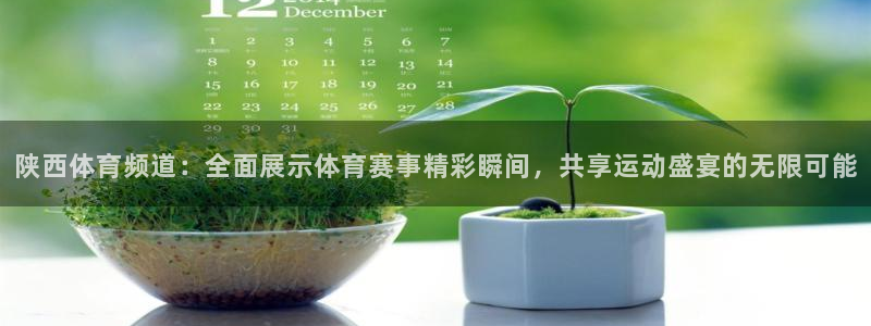 陕西体育频道：全面展示体育赛事精彩瞬间，共享运动盛宴的无限可能