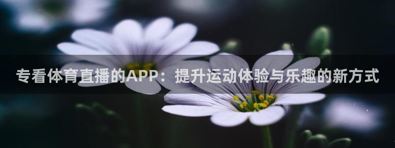 专看体育直播的APP：提升运动体验与乐趣的新方式