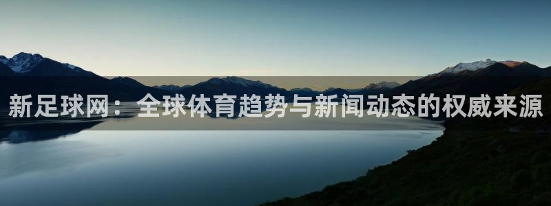新足球网：全球体育趋势与新闻动态的权威来源