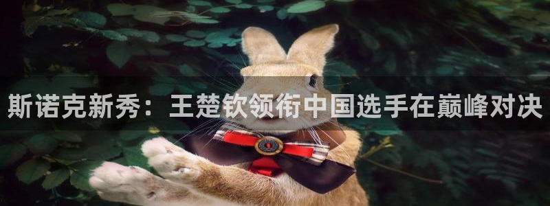 斯诺克新秀：王楚钦领衔中国选手在巅峰对决