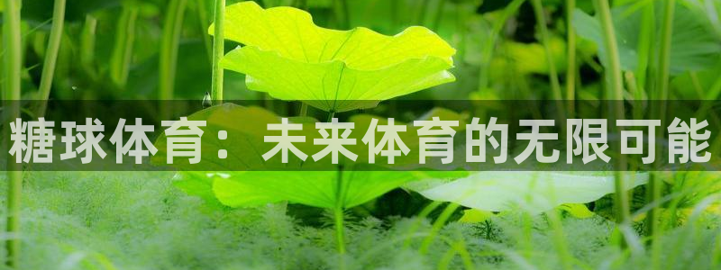 糖球体育：未来体育的无限可能