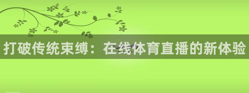 打破传统束缚：在线体育直播的新体验