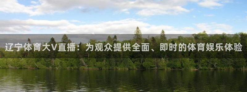 辽宁体育大V直播：为观众提供全面、即时的体育娱乐体验
