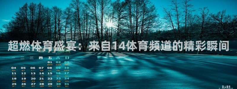 超燃体育盛宴：来自14体育频道的精彩瞬间