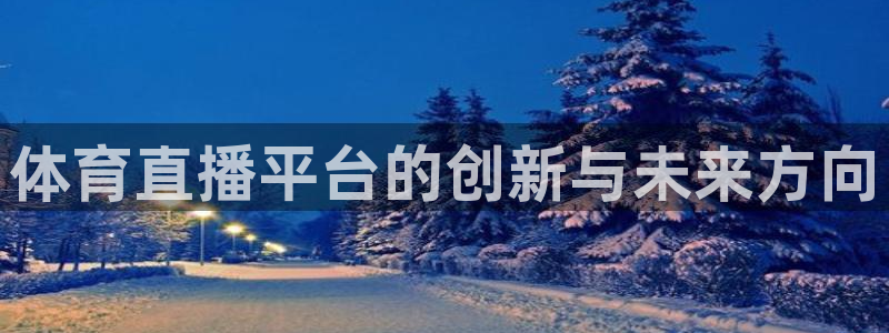 体育直播平台的创新与未来方向