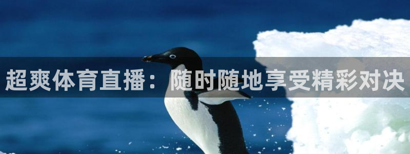超爽体育直播：随时随地享受精彩对决