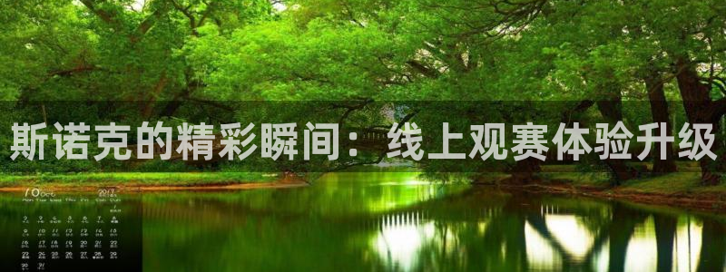 斯诺克的精彩瞬间：线上观赛体验升级