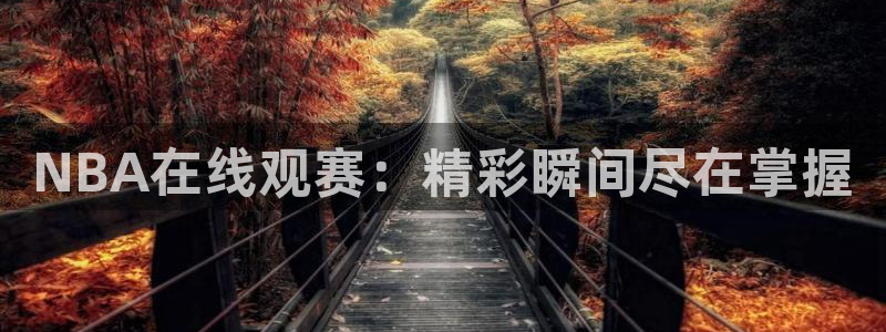 NBA在线观赛：精彩瞬间尽在掌握