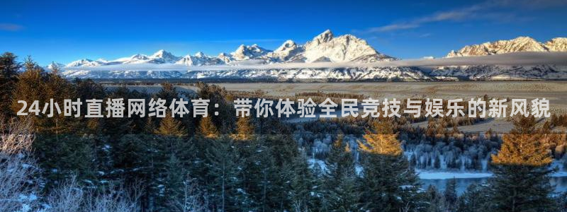 24小时直播网络体育：带你体验全民竞技与娱乐的新风貌