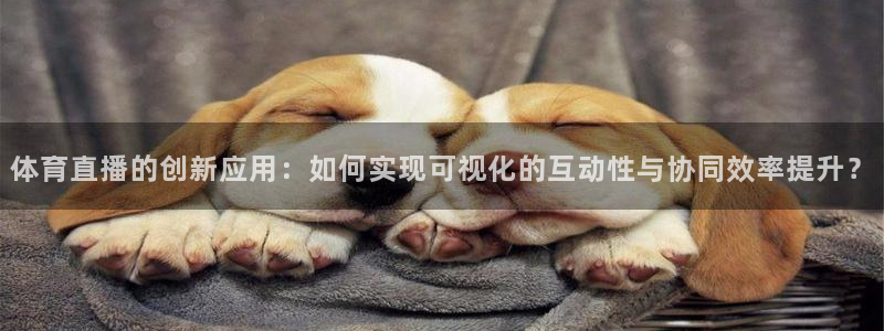 体育直播的创新应用：如何实现可视化的互动性与协同效率提升？