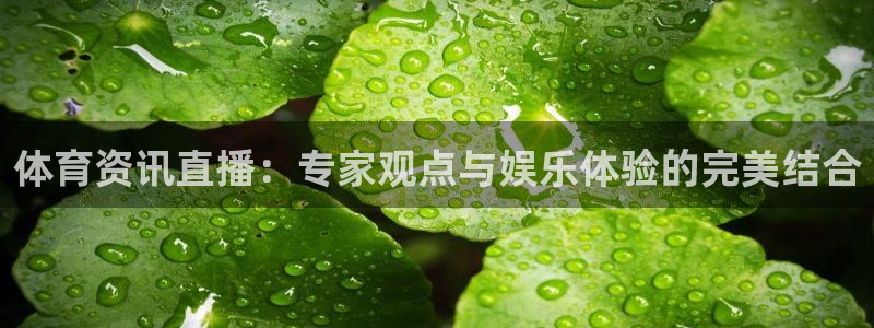 体育资讯直播：专家观点与娱乐体验的完美结合