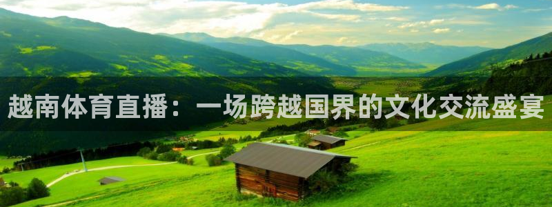 越南体育直播：一场跨越国界的文化交流盛宴