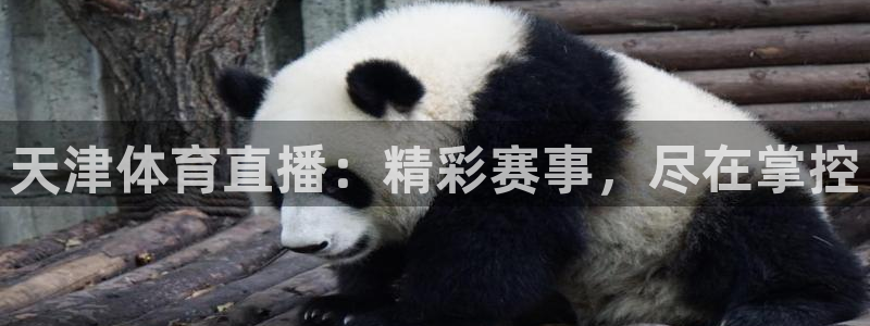 天津体育直播：精彩赛事，尽在掌控