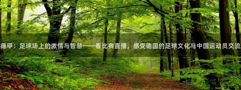 德甲：足球场上的激情与智慧——看比赛直播，感受德国的足球文化与中国运动员交流