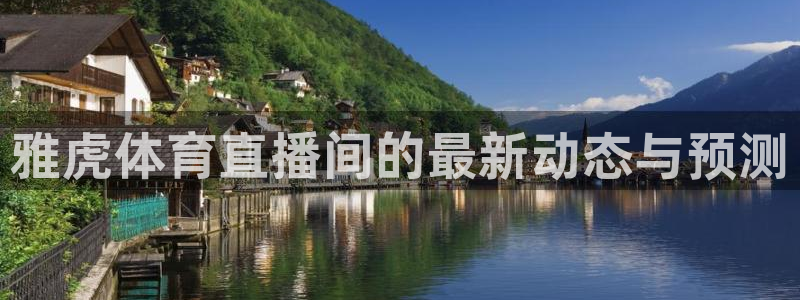 雅虎体育直播间的最新动态与预测