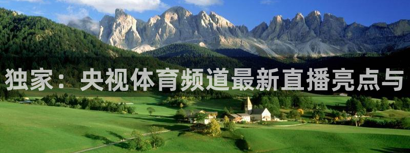 独家：央视体育频道最新直播亮点与