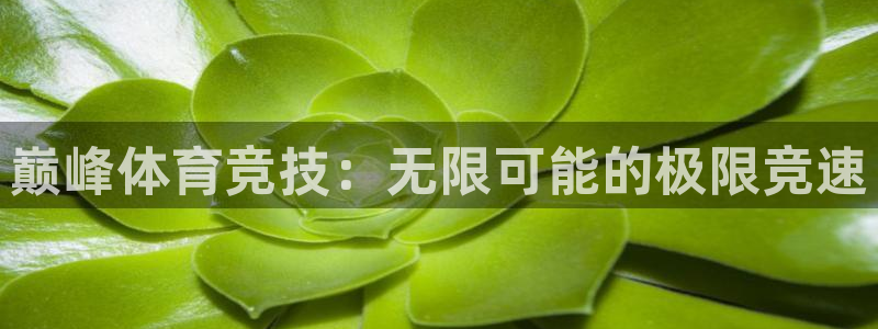 巅峰体育竞技：无限可能的极限竞速