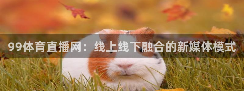 99体育直播网：线上线下融合的新媒体模式