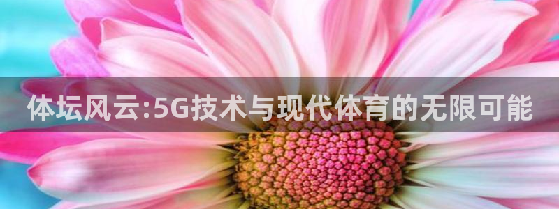 体坛风云:5G技术与现代体育的无限可能