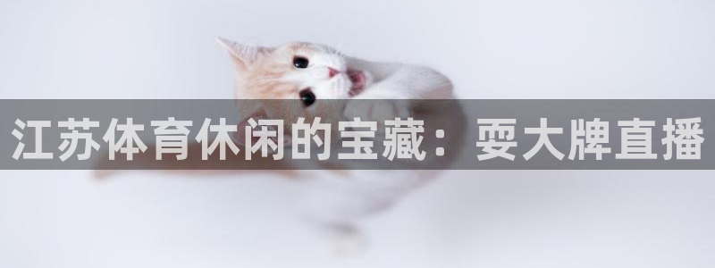 江苏体育休闲的宝藏：耍大牌直播