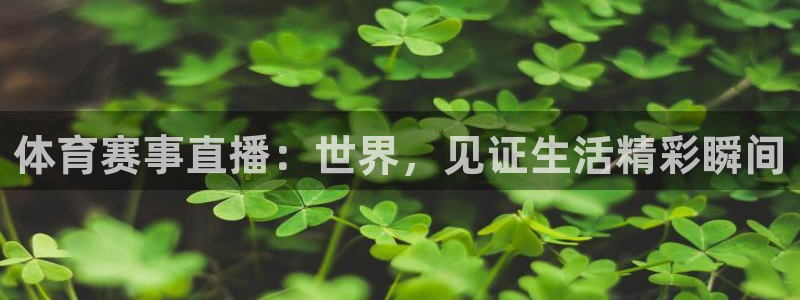 体育赛事直播：世界，见证生活精彩瞬间