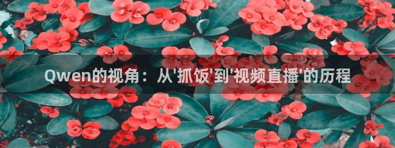 Qwen的视角：从\'抓饭\'到\'视频直播\'的历程