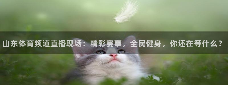 山东体育频道直播现场：精彩赛事，全民健身，你还在等什么？