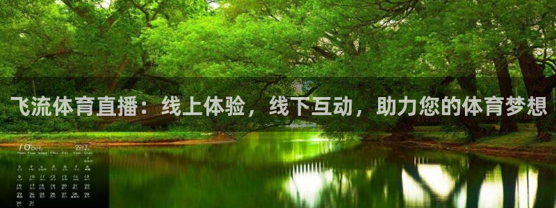 飞流体育直播：线上体验，线下互动，助力您的体育梦想