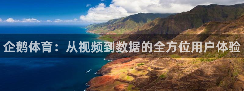 企鹅体育：从视频到数据的全方位用户体验