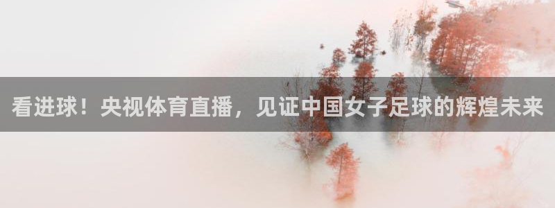 看进球！央视体育直播，见证中国女子足球的辉煌未来