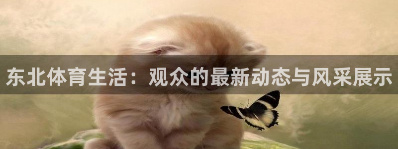 东北体育生活：观众的最新动态与风采展示