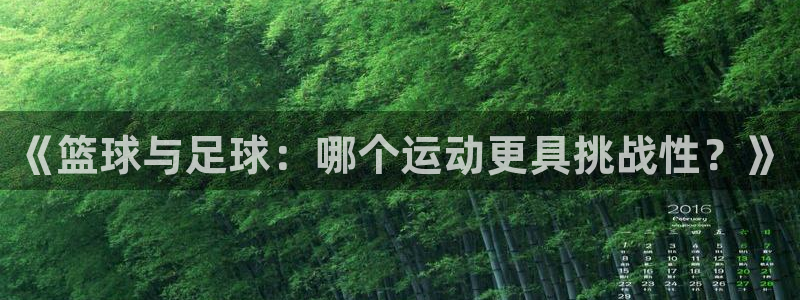 《篮球与足球：哪个运动更具挑战性？》