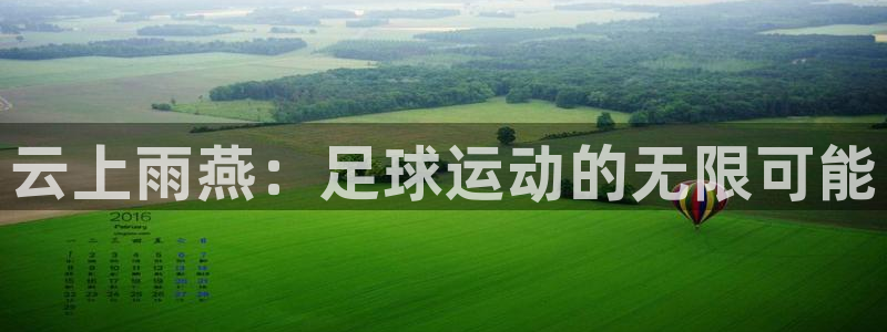 云上雨燕：足球运动的无限可能