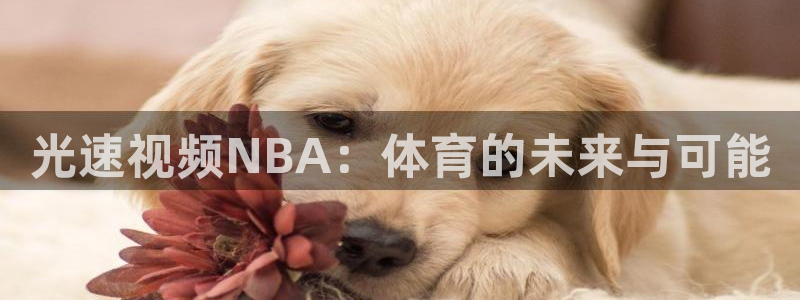 光速视频NBA：体育的未来与可能
