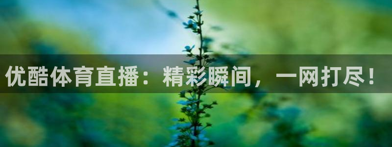 优酷体育直播：精彩瞬间，一网打尽！