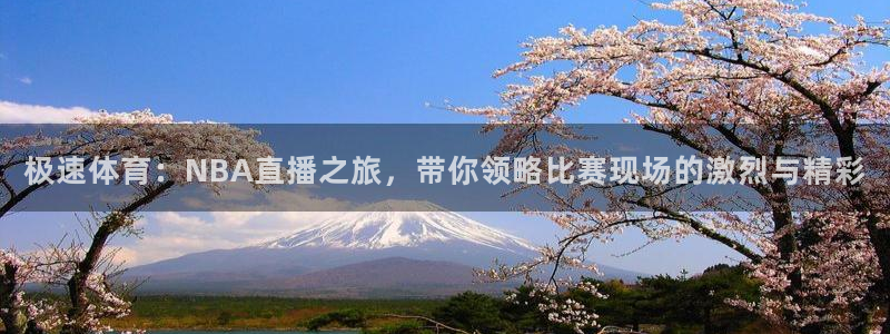 极速体育：NBA直播之旅，带你领略比赛现场的激烈与精彩