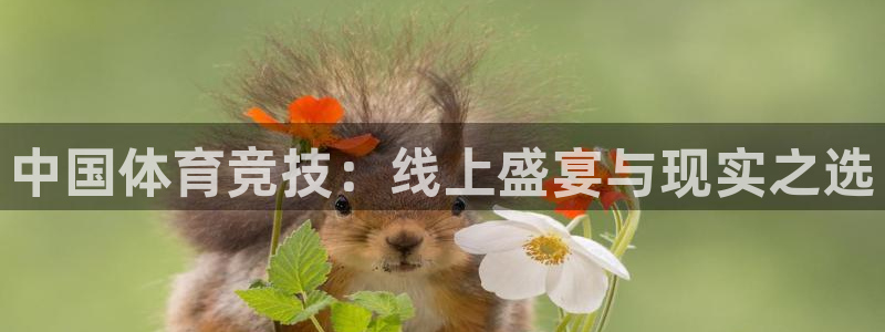 中国体育竞技：线上盛宴与现实之选