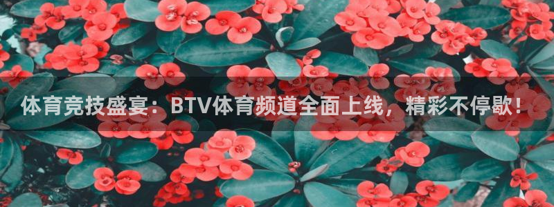 体育竞技盛宴：BTV体育频道全面上线，精彩不停歇！