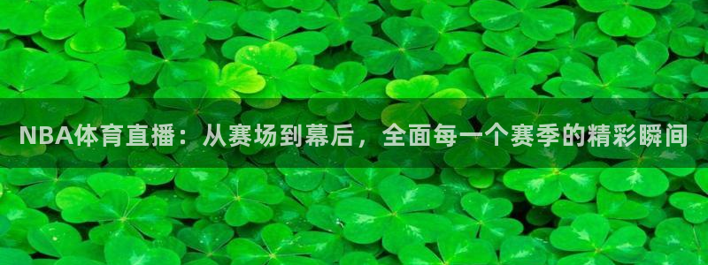 NBA体育直播：从赛场到幕后，全面每一个赛季的精彩瞬间