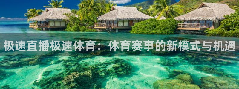 极速直播极速体育：体育赛事的新模式与机遇