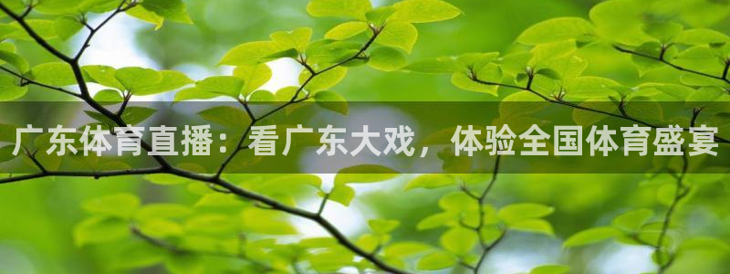 广东体育直播：看广东大戏，体验全国体育盛宴