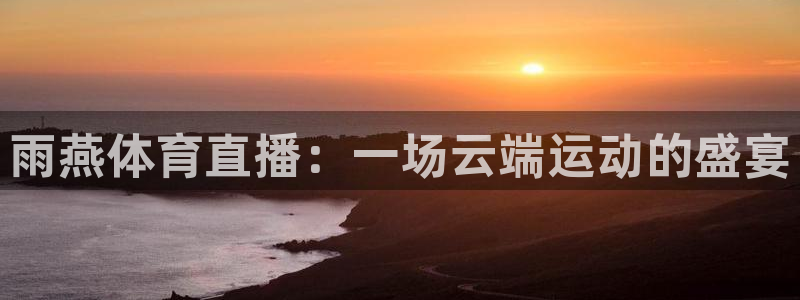 雨燕体育直播：一场云端运动的盛宴