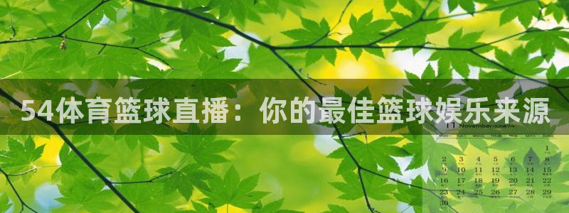 54体育篮球直播：你的最佳篮球娱乐来源